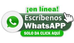 en linea whatsapp